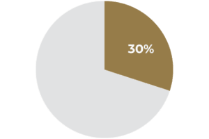 30 percent pie chart